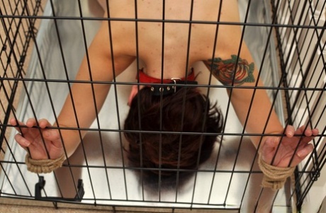 Tattooed white girl is kept naked in a dog cage while ball gagged 68724426